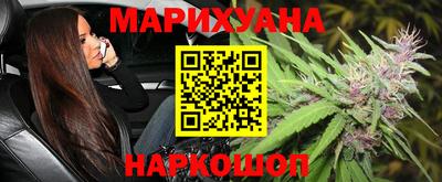 индика Будённовск