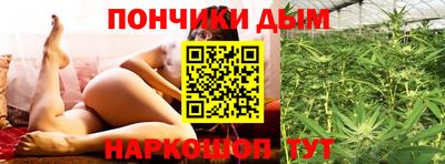 индика Будённовск
