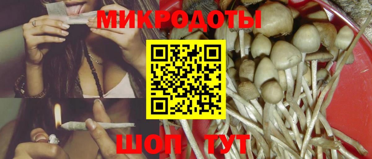 Галлюциногенные грибы MAGIC MUSHROOMS  Вход с VPN  Норильск 